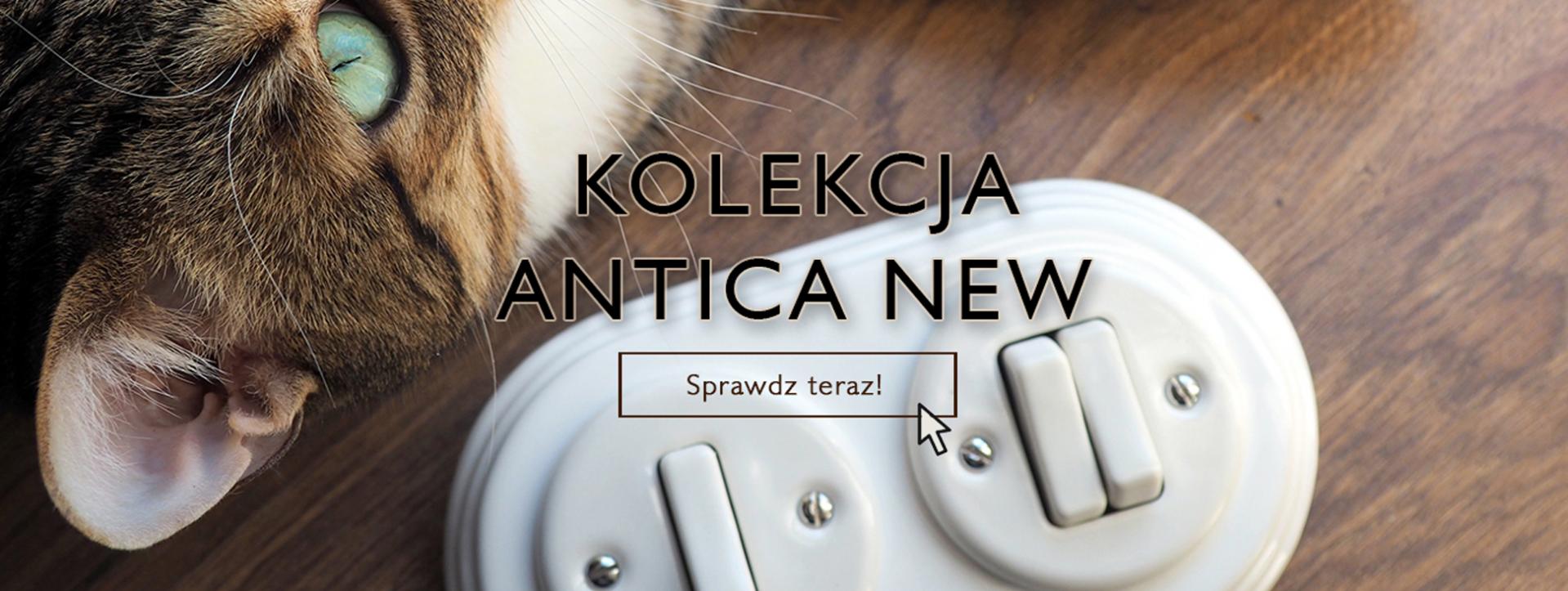 kolekcja new